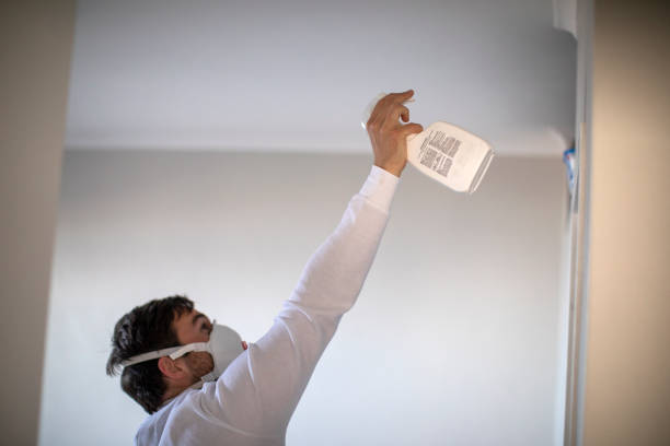 Best Preventive Mold Services in Williamsburg, VA
