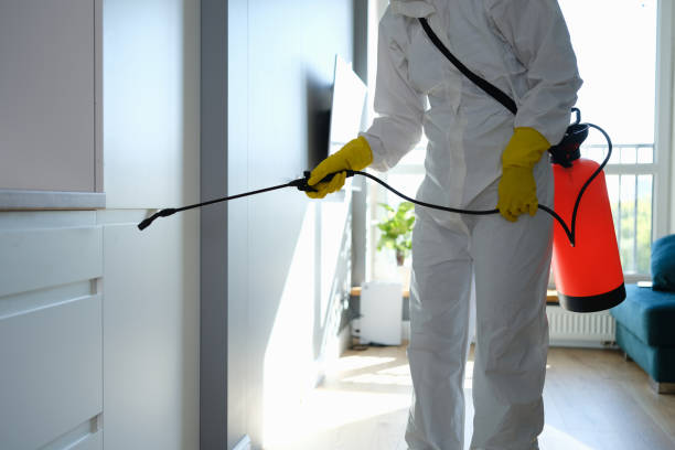 Best DIY Mold Remediation Support Services in Williamsburg, VA