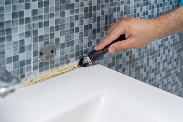 Best Preventive Mold Services in Williamsburg, VA