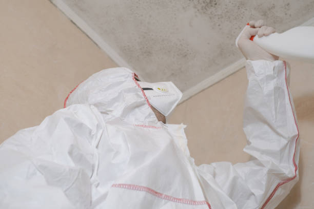 Williamsburg, VA Mold Remediation Company